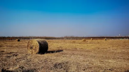 Kasino Slot Shack Apl Mudah Alih